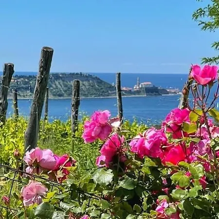 Apartmán Sea View